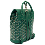 Picture of Goyard Backpack Cisalpine Backpack in Green, Leather