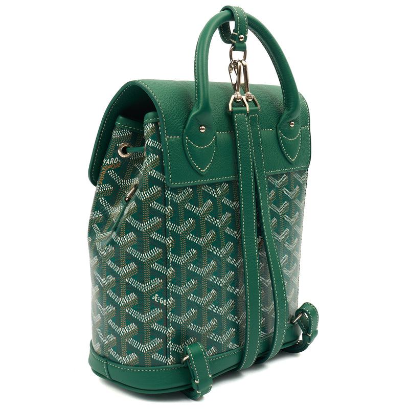 Picture of Goyard Backpack Cisalpine Backpack in Green, Leather