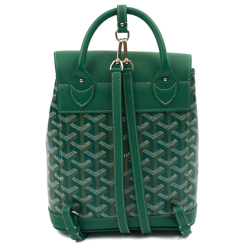 Picture of Goyard Backpack Cisalpine Backpack in Green, Leather