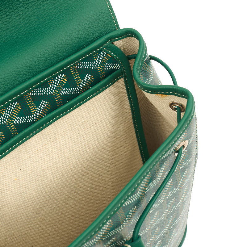 Picture of Goyard Backpack Cisalpine Backpack in Green, Leather