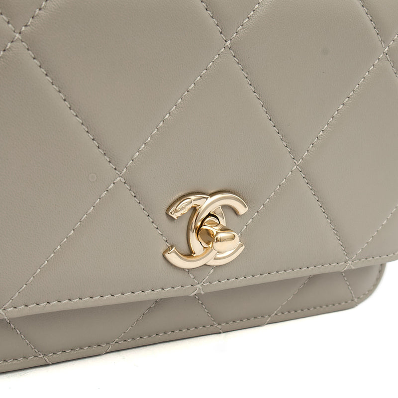 Picture of Chanel Cross Body Chanel 19 Wallet On Chain in Grey, Lambskin Leather