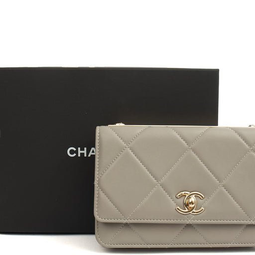 Picture of Chanel Cross Body Chanel 19 Wallet On Chain in Grey, Lambskin Leather