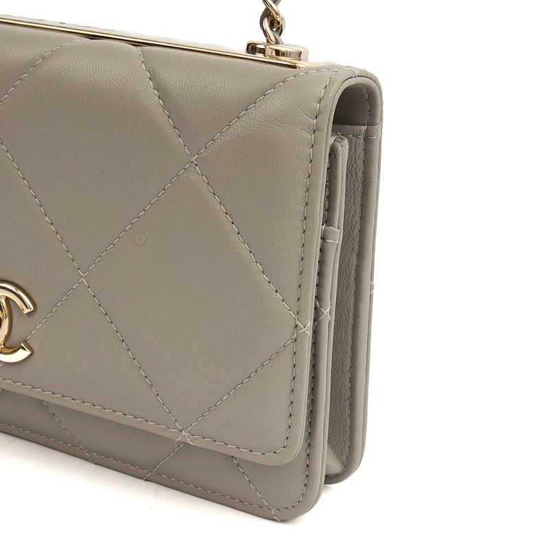 Picture of Chanel Cross Body Chanel 19 Wallet On Chain in Grey, Lambskin Leather