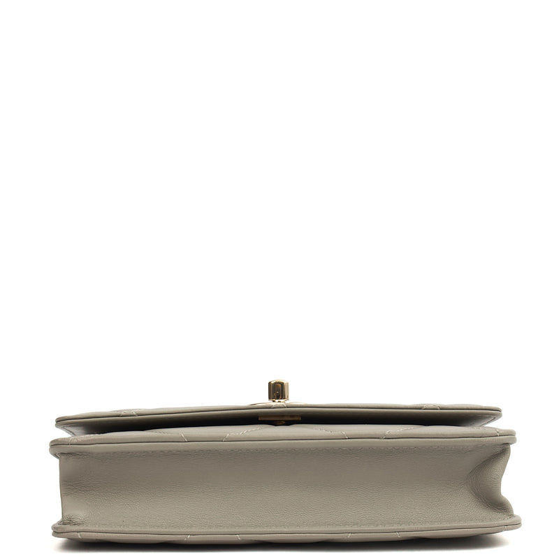 Picture of Chanel Cross Body Chanel 19 Wallet On Chain in Grey, Lambskin Leather