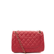 Picture of Chanel Shoulder Bag Classic Double Flap - Large in Pink, Caviar Leather
