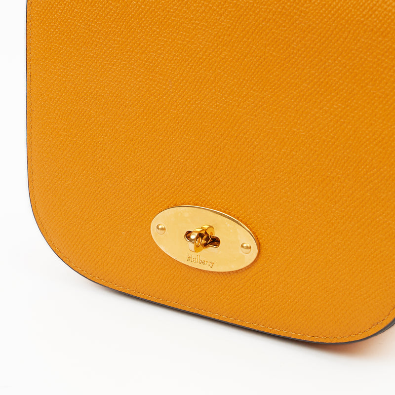 Picture of Mulberry Cross Body Darley Shoulder Bag - Small  in Deep Amber, Leather