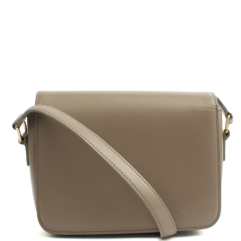 Picture of Celine Cross Body Triomphe - Mini in Grey, Box Calfskin