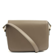 Picture of Celine Cross Body Triomphe - Mini in Grey, Box Calfskin