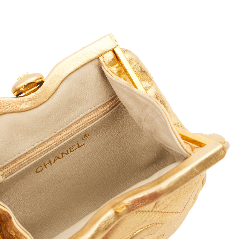 Picture of Chanel Cross Body Belt Bag in Metallic, Calfskin Leather
