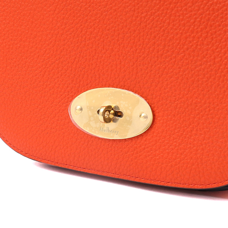 Picture of Mulberry Cross Body Darley Shoulder Bag  in Orange, Leather