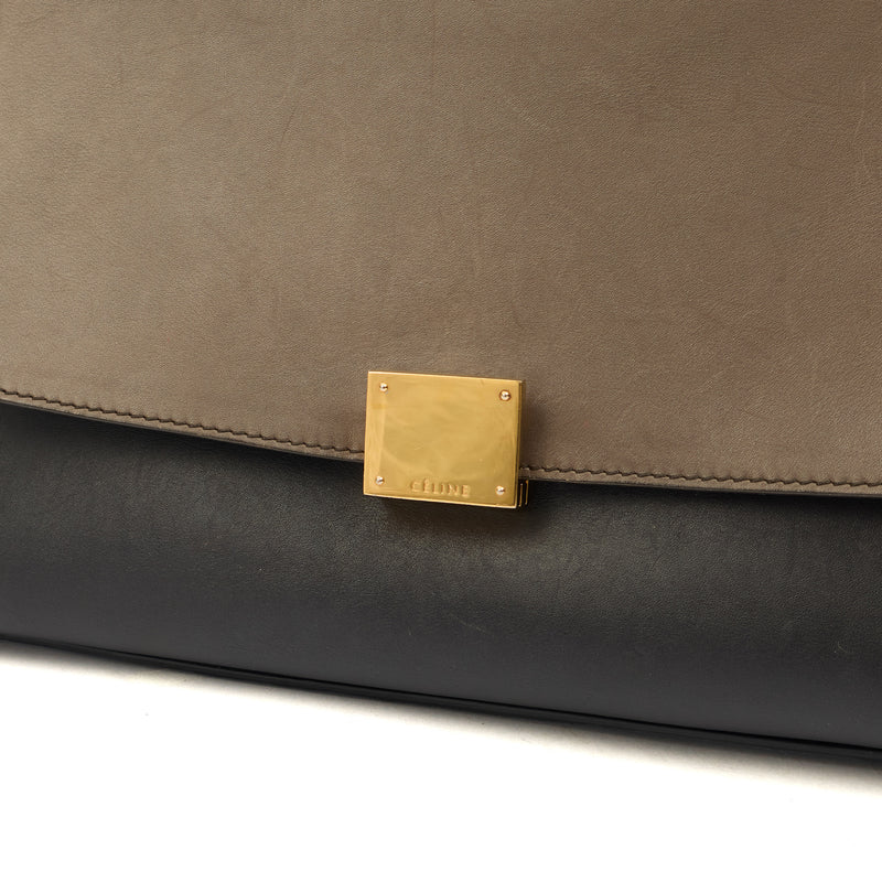 Picture of Celine Top Handle Trapeze - Medium in Multi, Leather