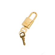 Picture of Louis Vuitton Cross Body Speedy Bandouliere 20 in Monogram, Canvas