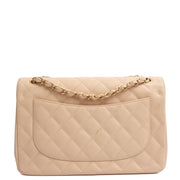 Picture of Chanel Shoulder Bag Classic Double Flap - Large in Neutral, Caviar Leather