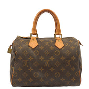 Picture of Louis Vuitton Tote Speedy 25 in Monogram, Plastic