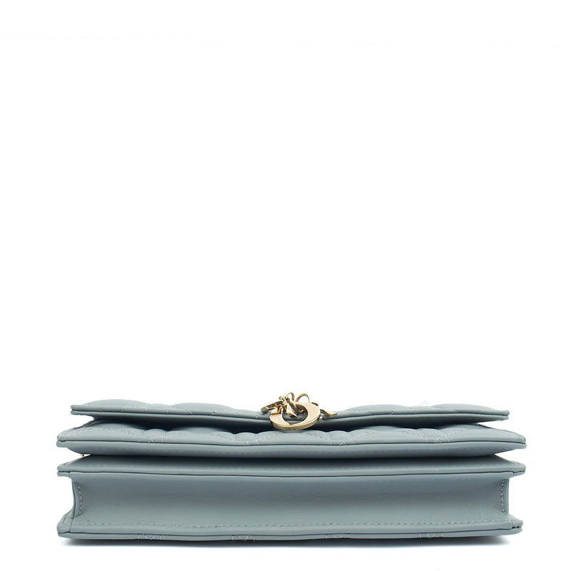 Picture of Christian Dior Top Handle My Dior Daily Chain Pouch in Blue, Cannage Quilted Grain Skin