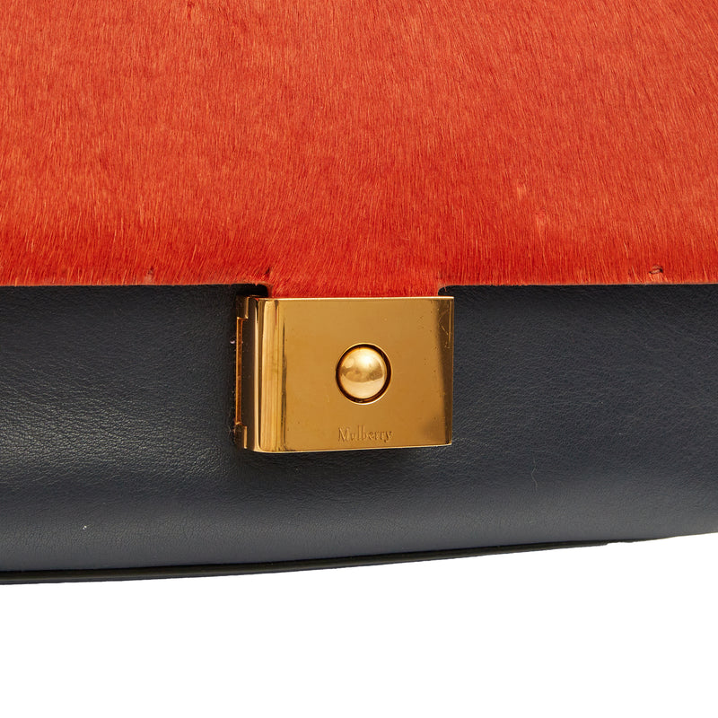 Picture of Mulberry Shoulder Bag Cheyne in Multi, Leather