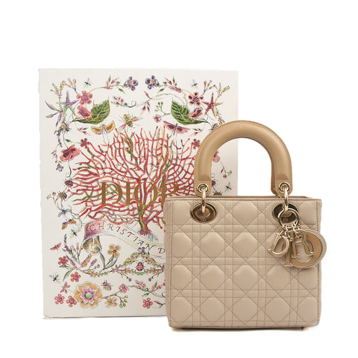 Picture of Christian Dior Tote Lady Dior Small in Neutral, Leather