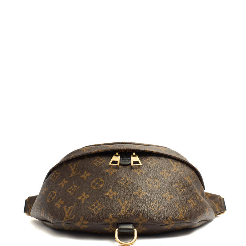 Picture of Louis Vuitton Cross Body Bumbag in Monogram, Leather