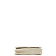 Picture of Chanel Cross Body Wallet on Chain in Metallic, Caviar Leather