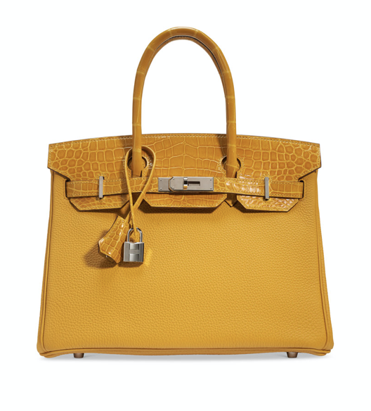 Hermés Touch Birkin 